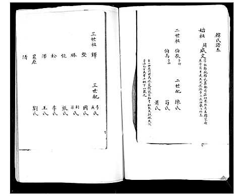 [韩]韩氏支谱 (山东) 韩氏支谱_二.pdf