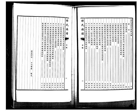 [韩]韩氏族谱 (山东) 韩氏家谱.pdf