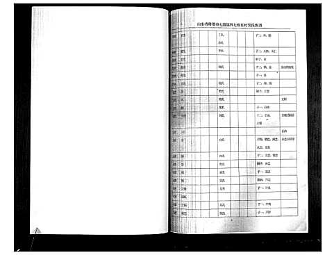 [贺]贺氏族谱_不分卷 (山东) 贺氏家谱.pdf