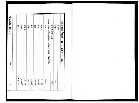 [胡]胡氏族谱 (山东) 胡氏家谱_七.pdf