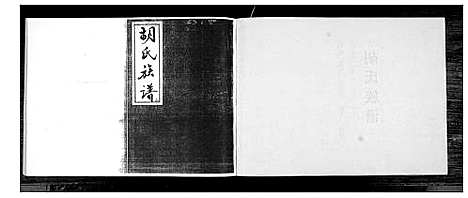 [胡]胡氏族谱 (山东) 胡氏家谱_二.pdf