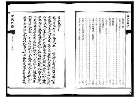 [贾]贾氏族谱 (山东) 贾氏家谱.pdf