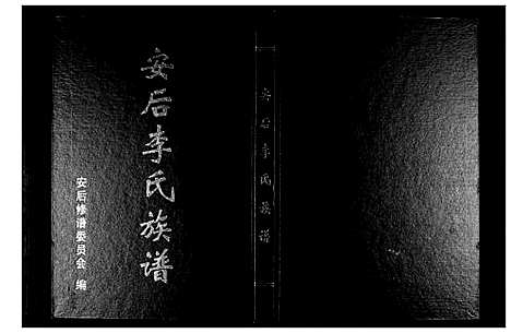 [李]安后李氏族谱 (山东) 安后李氏家谱.pdf