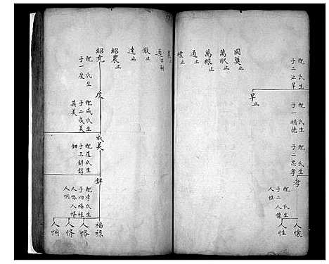 [李]安邱浯阳李氏族谱_5卷 (山东) 安邱浯阳李氏家谱_二.pdf