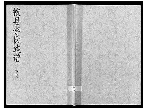 [李]掖县李氏族谱_3集 (山东) 掖县李氏家谱_三.pdf