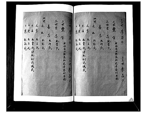 [李]李氏支谱 (山东) 李氏支谱_一.pdf