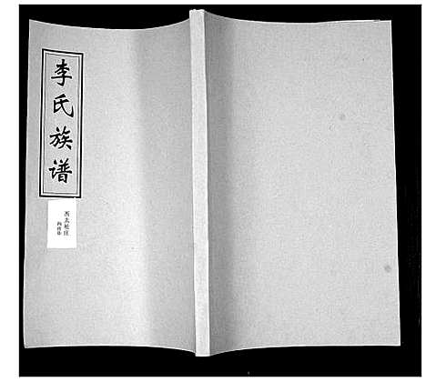 [李]李氏支谱 (山东) 李氏支谱.pdf