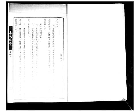 [李]李氏族谱 (山东) 李氏家谱.pdf