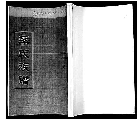 [李]李氏族谱 (山东) 李氏家谱.pdf