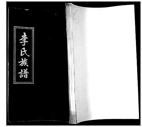 [李]李氏族谱 (山东) 李氏家谱.pdf