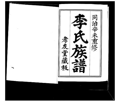 [李]李氏族谱 (山东) 李氏家谱.pdf