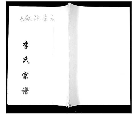 [李]李氏族谱 (山东) 李氏家谱_二.pdf