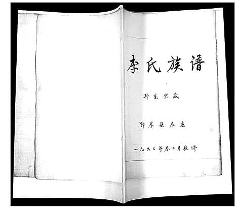 [李]李氏族谱 (山东) 李氏家谱.pdf