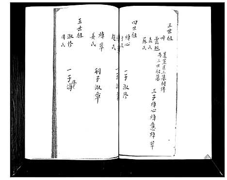 [李]李氏族谱 (山东) 李氏家谱_一.pdf