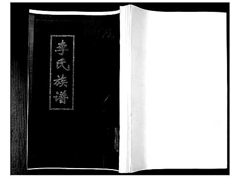 [李]李氏族谱 (山东) 李氏家谱.pdf