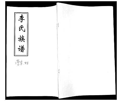 [李]李氏族谱 (山东) 李氏家谱.pdf