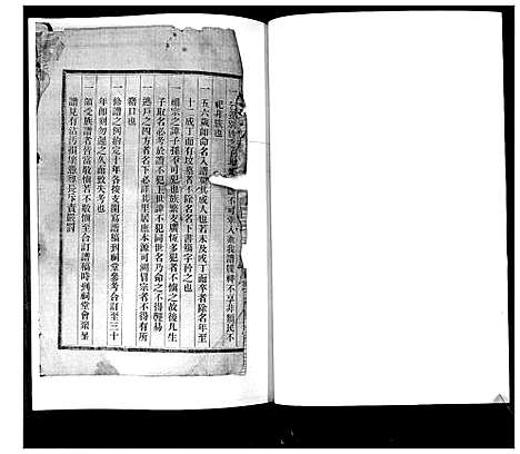 [李]李氏族谱 (山东) 李氏家谱.pdf