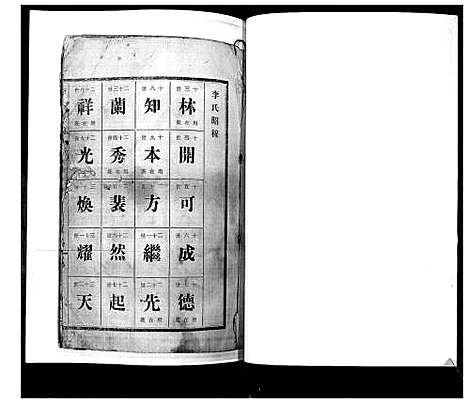 [李]李氏族谱 (山东) 李氏家谱.pdf