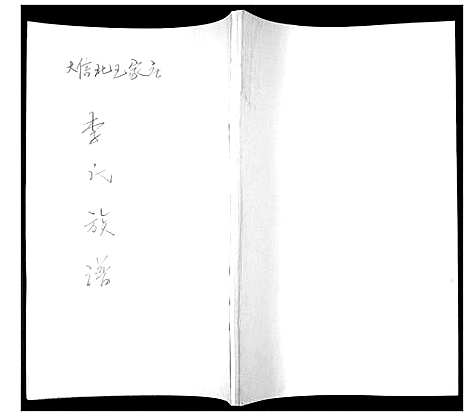 [李]李氏族谱 (山东) 李氏家谱.pdf