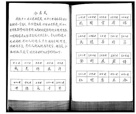 [李]李氏族谱 (山东) 李氏家谱.pdf