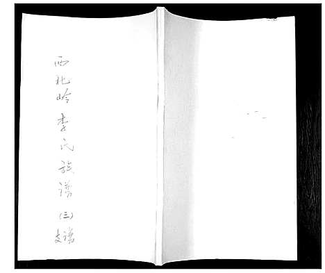 [李]李氏族谱 (山东) 李氏家谱_三.pdf