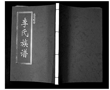 [李]李氏族谱 (山东) 李氏家谱_一.pdf