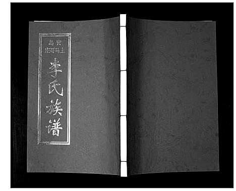 [李]李氏族谱 (山东) 李氏家谱_一.pdf