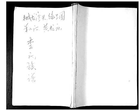 [李]李氏族谱 (山东) 李氏家谱.pdf