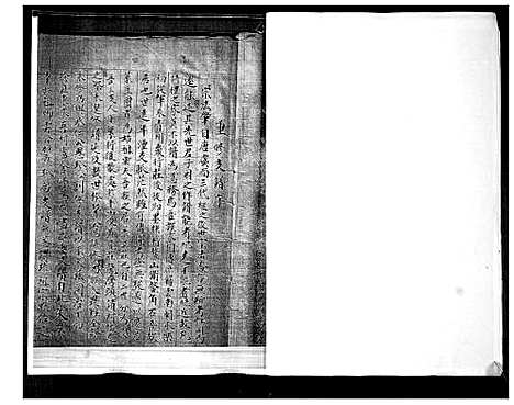 [李]李氏族谱 (山东) 李氏家谱.pdf