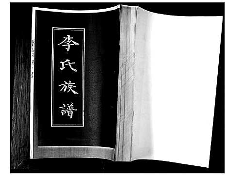 [李]李氏族谱 (山东) 李氏家谱.pdf