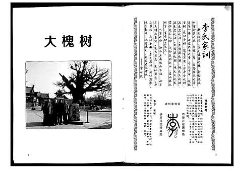 [李]李氏族谱 (山东) 李氏家谱.pdf