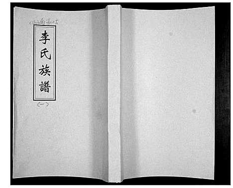 [李]李氏族谱 (山东) 李氏家谱.pdf