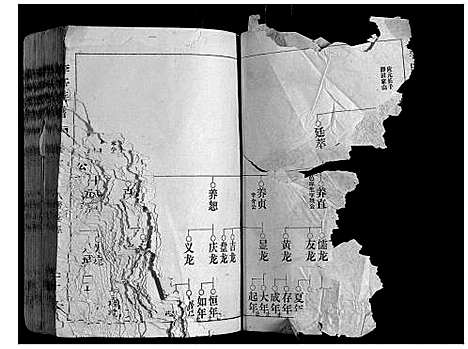 [李]李氏族谱 (山东) 李氏家谱_三.pdf