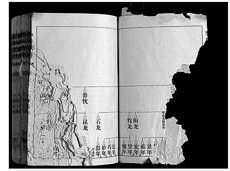 [李]李氏族谱 (山东) 李氏家谱_三.pdf