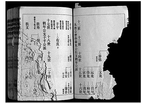 [李]李氏族谱 (山东) 李氏家谱_三.pdf