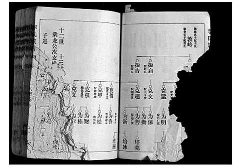 [李]李氏族谱 (山东) 李氏家谱_三.pdf