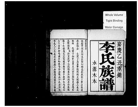 [李]李氏族谱 (山东) 李氏家谱.pdf