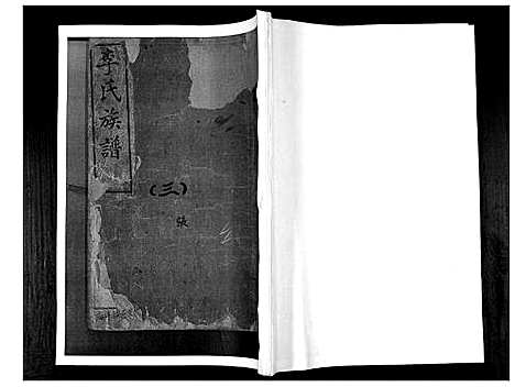 [李]李氏族谱_不分卷 (山东) 李氏家谱_三.pdf