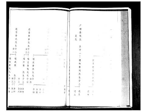 [李]李氏祖谱张家下庄支派 (山东) 李氏祖谱_一.pdf