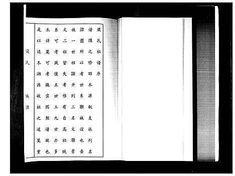 [梁]梁氏族谱 (山东) 梁氏家谱.pdf