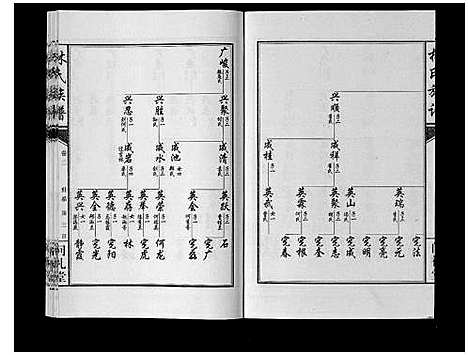 [林]林氏族谱_7卷 (山东) 林氏家谱_二.pdf