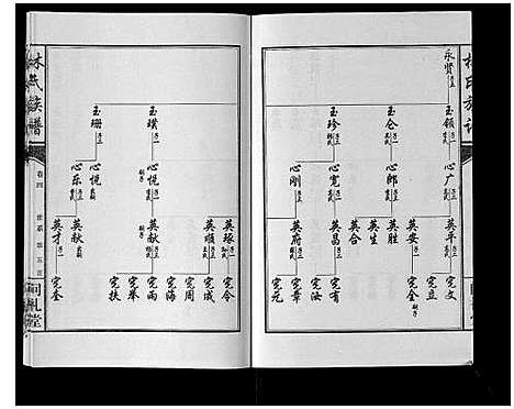 [林]林氏族谱_7卷 (山东) 林氏家谱_四.pdf