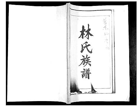 [林]林氏族谱_不分卷 (山东) 林氏家谱.pdf