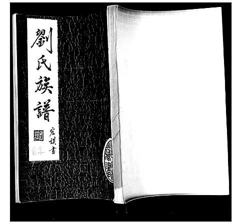 [刘]刘氏族谱 (山东) 刘氏家谱_一.pdf