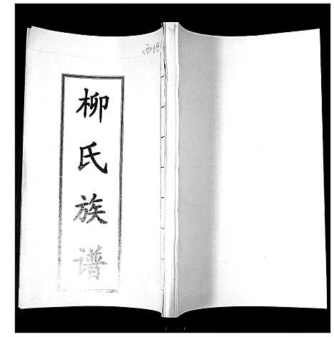 [柳]柳氏族谱_不分卷 (山东) 柳氏家谱.pdf