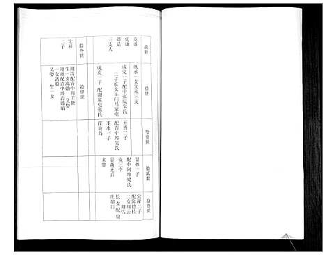 [卢]卢氏宗谱 (山东) 卢氏家谱.pdf