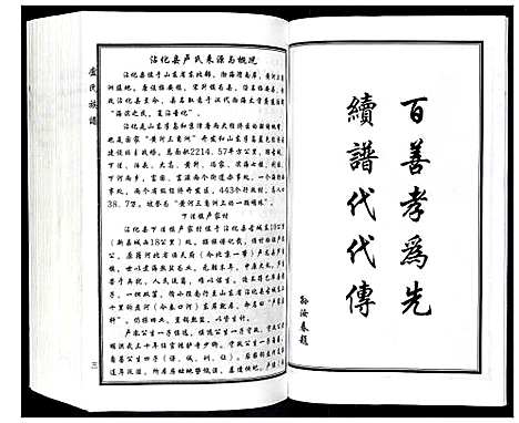 [卢]卢氏家谱 (山东) 卢氏家谱.pdf