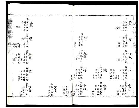 [卢]卢氏族谱 (山东) 卢氏家谱_三.pdf