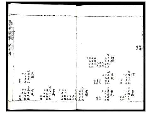 [卢]卢氏族谱 (山东) 卢氏家谱_三.pdf