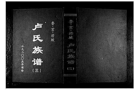 [卢]卢氏族谱_4卷 (山东) 卢氏家谱_三.pdf